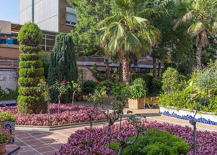 Guitart Rosa - Adults Only 3*